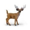 

New Canna White Tailed Deer X2035