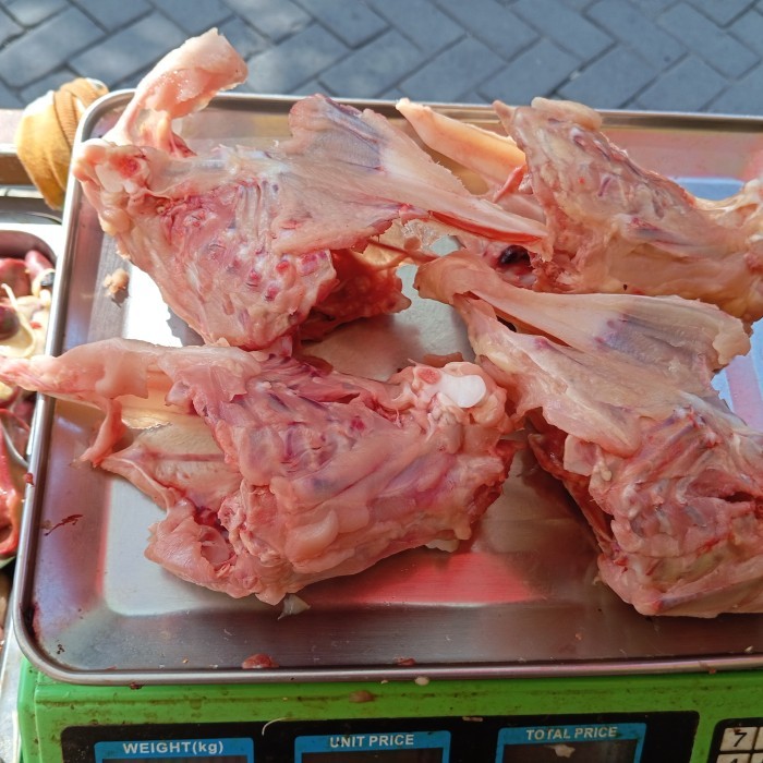 

Tulang Kerongkorang full 1 eekor 1kg harga per Kg Obral