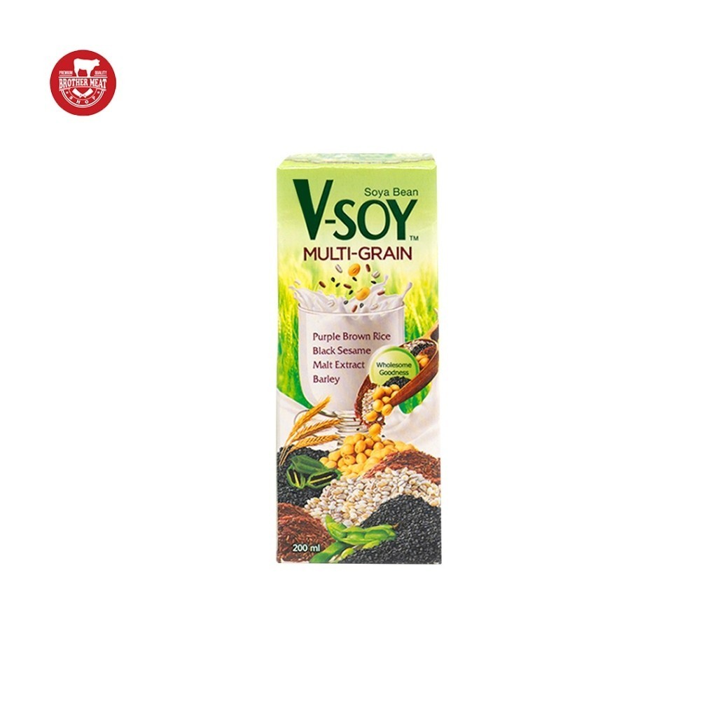 

V-Soy Multi Grain Soy Milk 200ml - Brothermeatshop