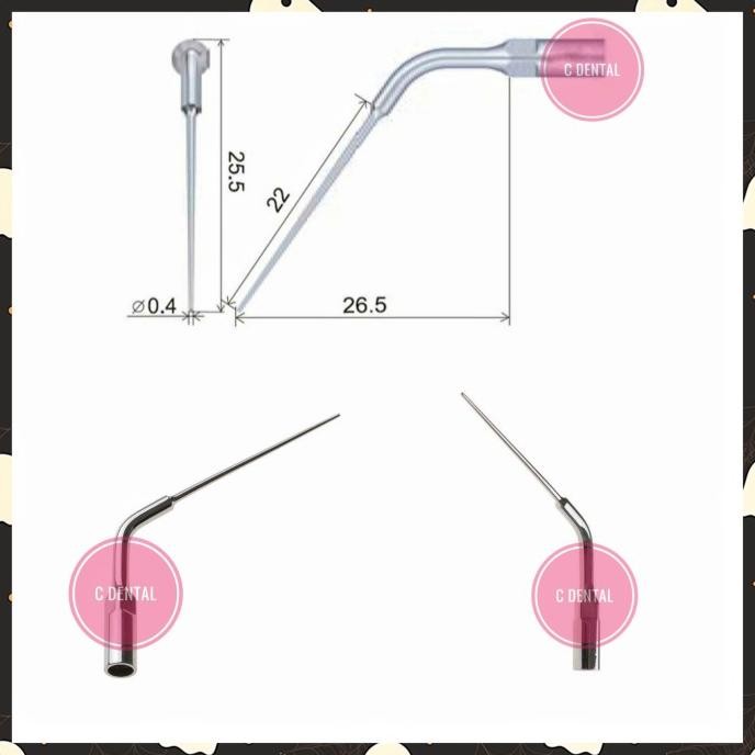 Endo Tip Scaler Removal Broken Files Root Canal