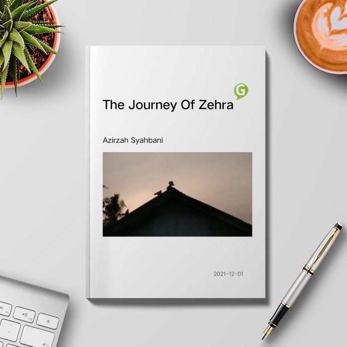 

The Journey Of Zehra