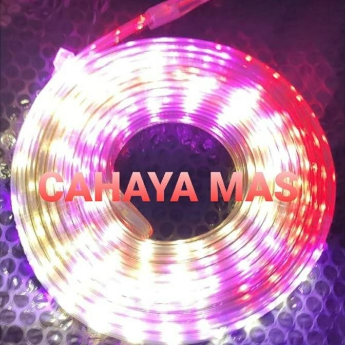 Lampu LED STRIP SELANG 3528 2835 220v 10M METER OUTDOOR RGB WARNAWARNI