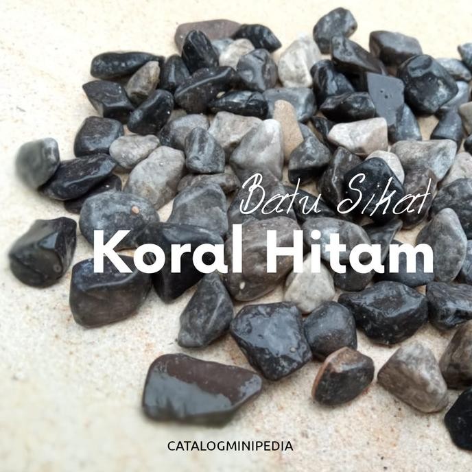 Sikat - Batu koral sikat kerikil Hitam hiasan taman harga perkarung 10kg