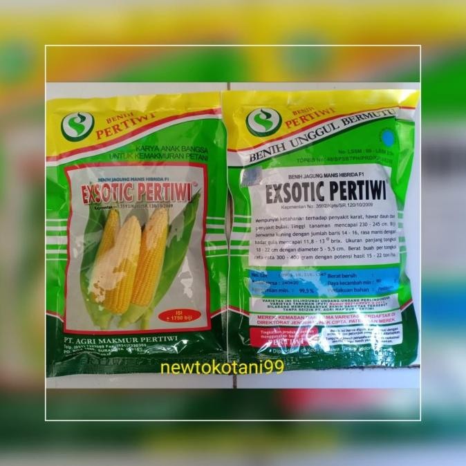 benih bibit jagung manis EXOTIC F1 produksi pertiwi