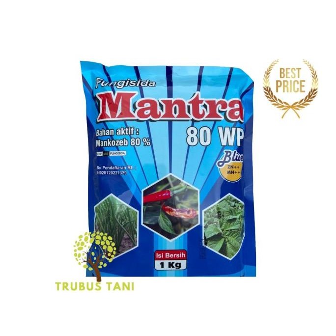 FUNGISIDA MANTRA 80 WP MANCOZEB BIRU