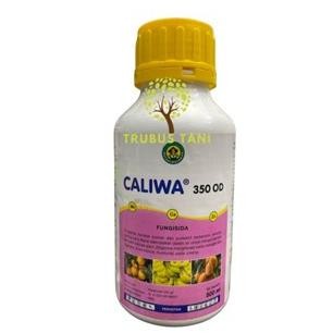 Caliwa od 250ml fungisida cair mankozeb