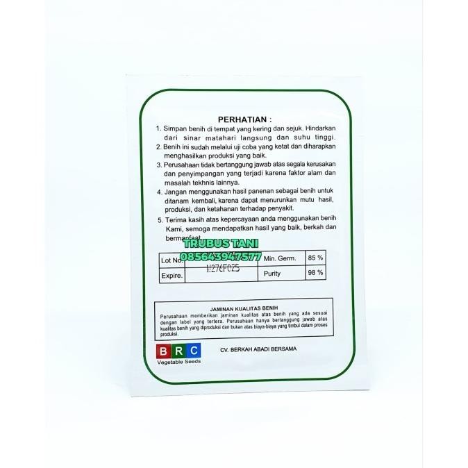 Benih sawi putih ZAMI tahan akar gada