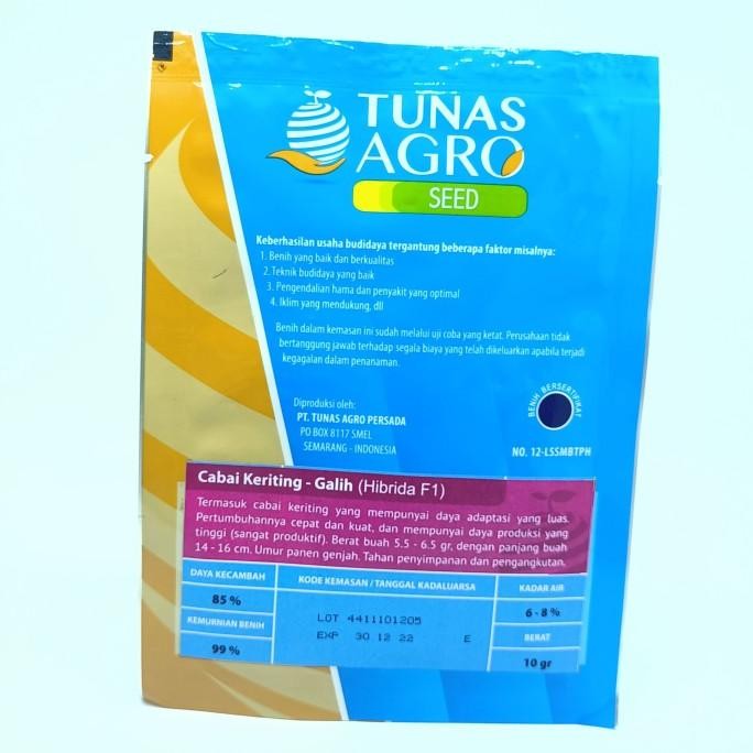 BENIH CABE KERITING GALIH 10gr - HIBRIDA F1 - TAHAN PATEK