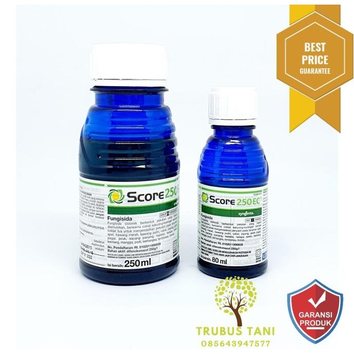 Fungisida + ZPT Score 250EC 250 ml