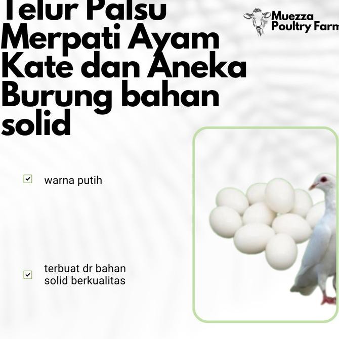 

Telur Palsu Merpati Ayam Kate dan Aneka Burung bahan solid Termurah