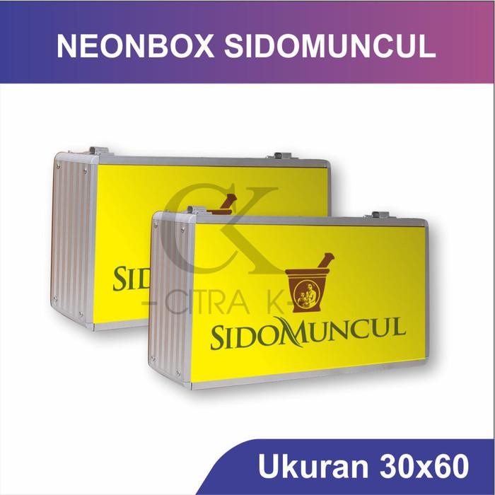 Neon Box Sidomuncul 30X60 Termurah Seluruh Indonesia