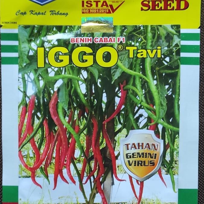 Benih bibit cabe IGGO TAVI isi 10gram