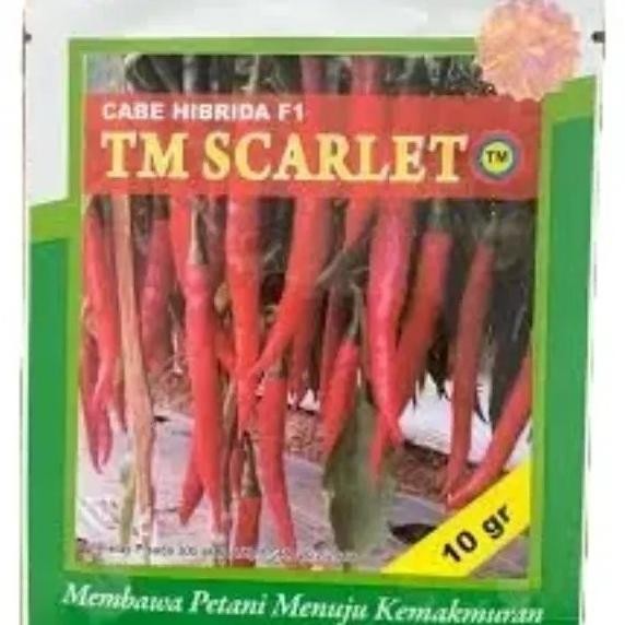 Scarlet 10Gr Benih Cabai Tm Scarlet F1 10Gr Hibrida Tani Murni