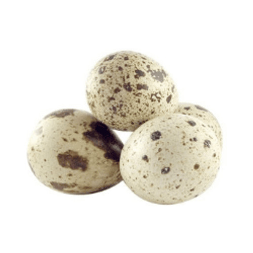 

Telur Puyuh 1 Kotak 25 pcs oFresh Batam