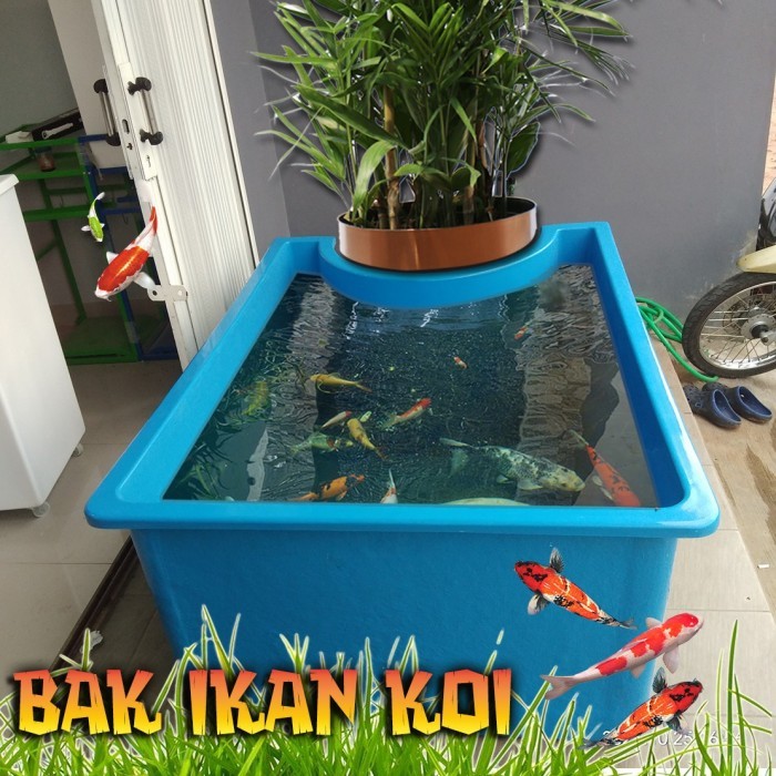 Bak ikan Koi / Kolam Ikan / Aquarium ikan taman