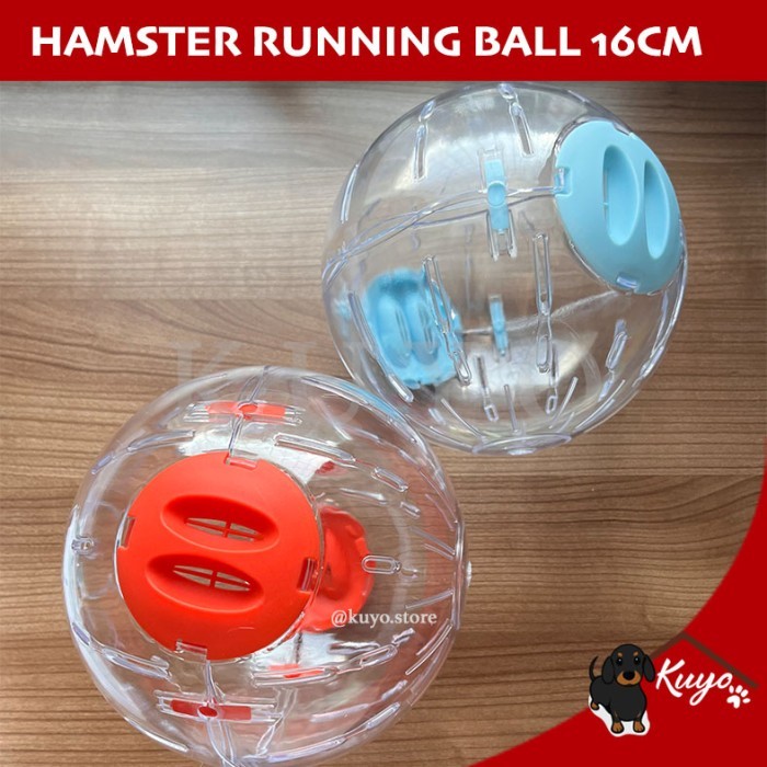Hamster Running Ball 16cm - Mainan Roda Bola Lari Transparan Jogging