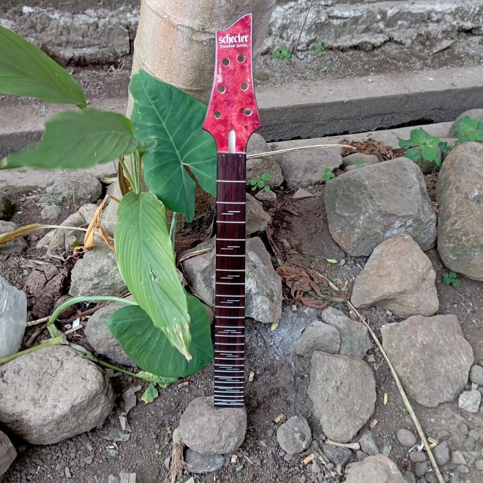 Neck Gitar Schecter Omen Elite 6 String