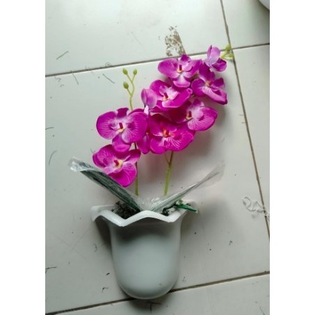 Bunga Anggrek Bunga Anggrek Plastik Hiasan Dinding Bungan Tempel Ungu Ready