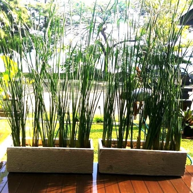 Spesial Pot Beton Panjang Motif Cacah