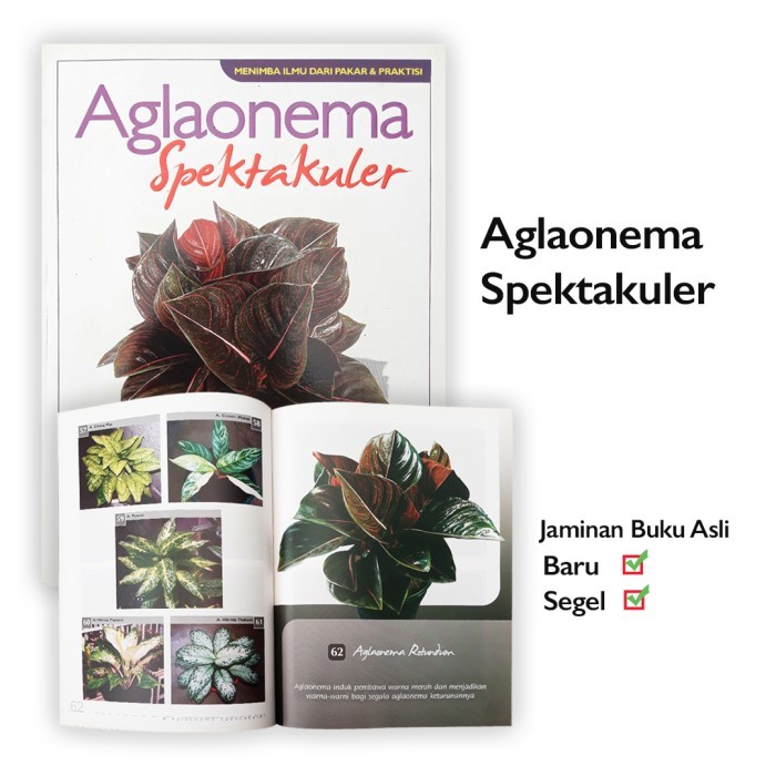 

HOT SALE! Buku Aglaonema Spektakuler Dr Purbo Djojokusumo Menanam Tanaman Hias