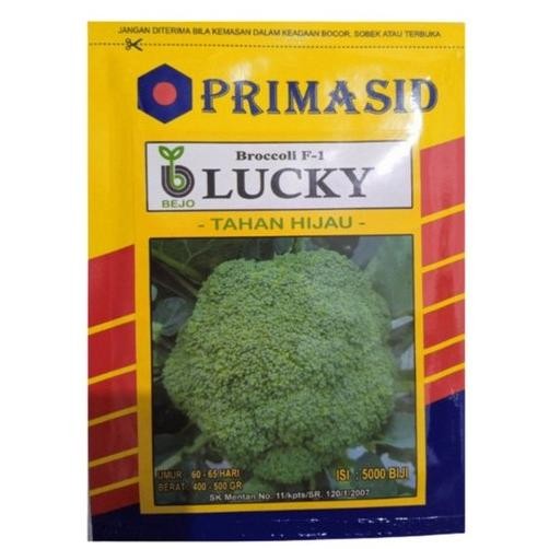 

Lucky Bejo 5000 Biji Benih Bibit Brokoli Broccoli F-1 Produk Original Pabrik