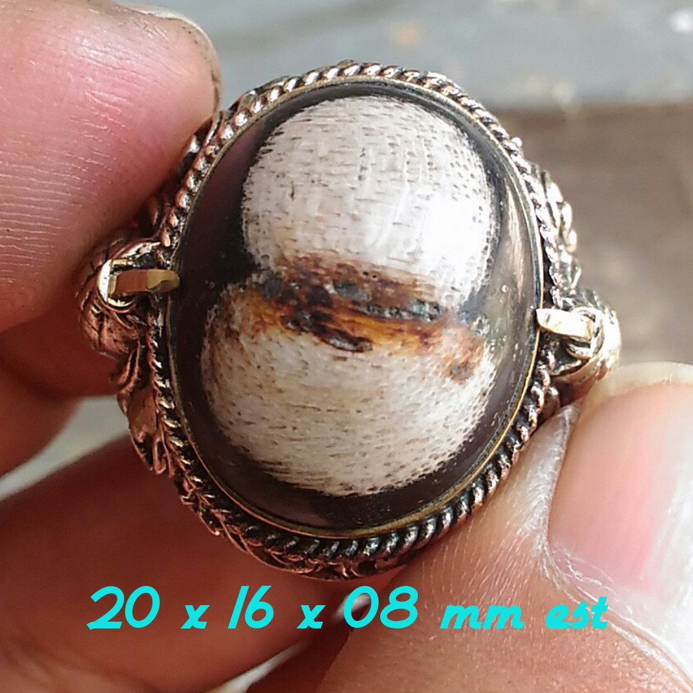 Natural Petrified Wood Galih Kelor Super ISTIMEWA Motif Angka 8 Aktif