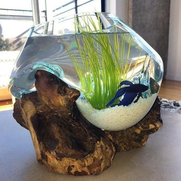 Aquarium Ikan Cupang Hias Pot Tanaman Kaca Tiup Aquascape Mini Murah TD