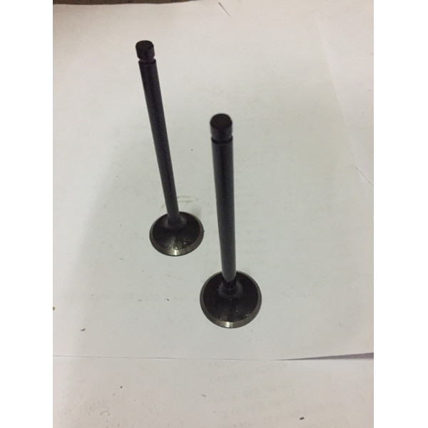 klep valve intake Grand Civic, Genio