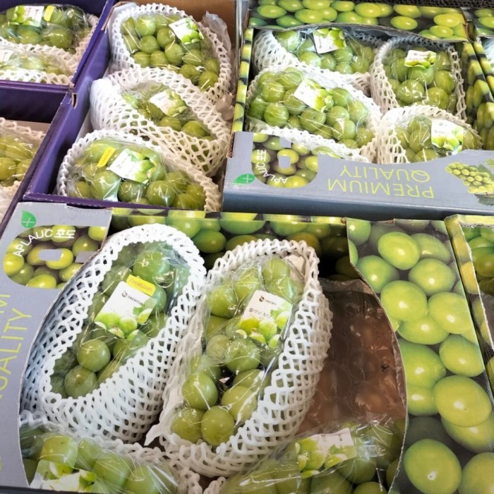 

Anggur Muscat Korea Promo Spesial / Pack