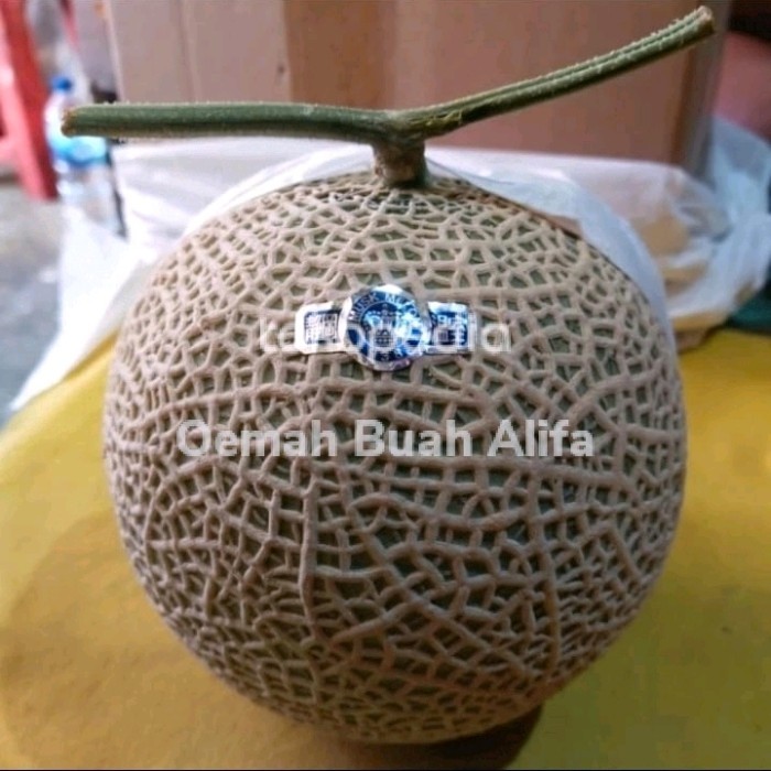 

BUAH MELON MUSK CROWN JEPANG