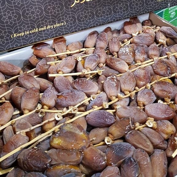 

Tunisia tangkai alger 5kg