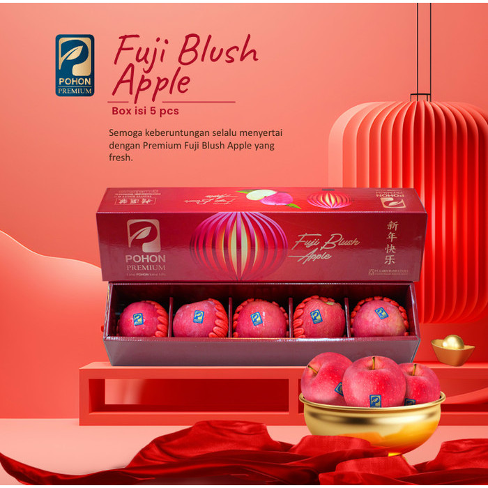 Terbaru Buah Apel Fuji Wangshan 5 Parcel Giftbox Imlek Sincia Cantik Hampers