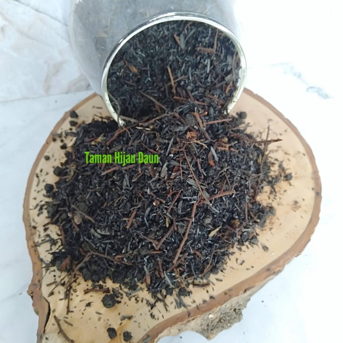 PROMO 5 Kg media tanam Encephalartos Ferox