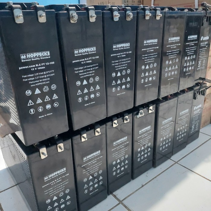 Battery Vrla 12V 100Ah Hoppecke New