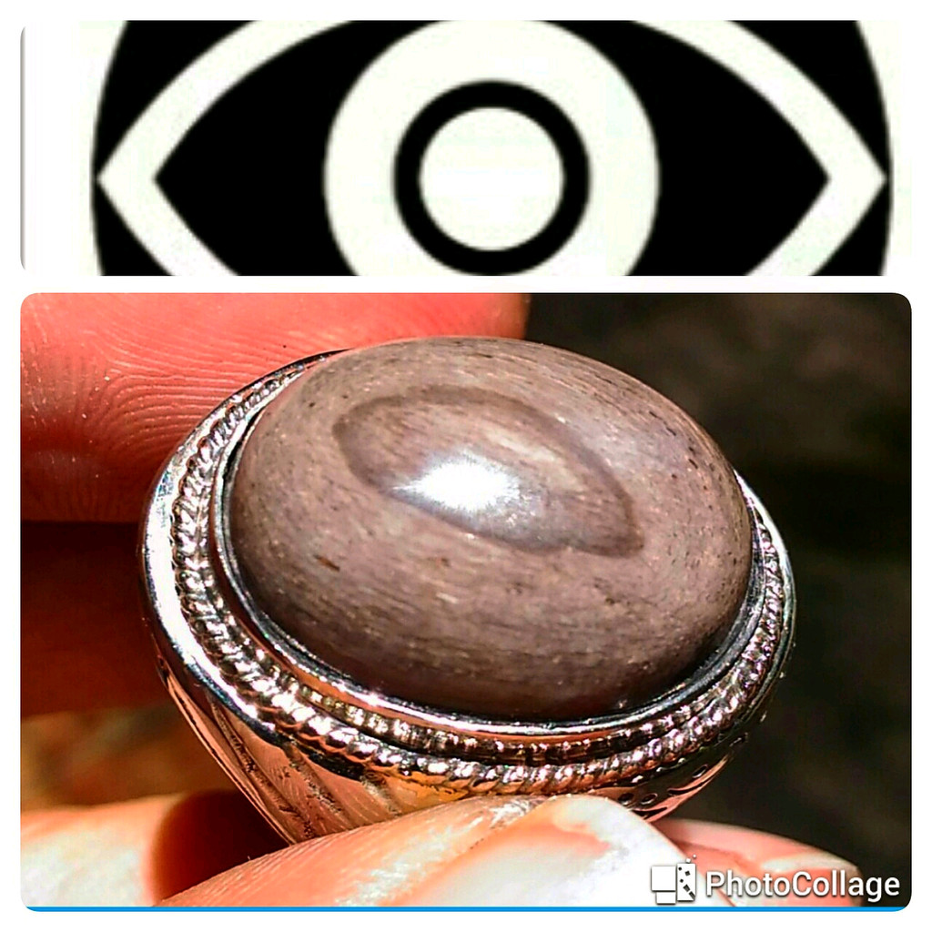 Natural Petrified Wood Galih Kelor Super Motif MATA The EYE