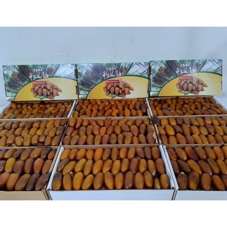 

kurma rutob ruttob libya 1 kg