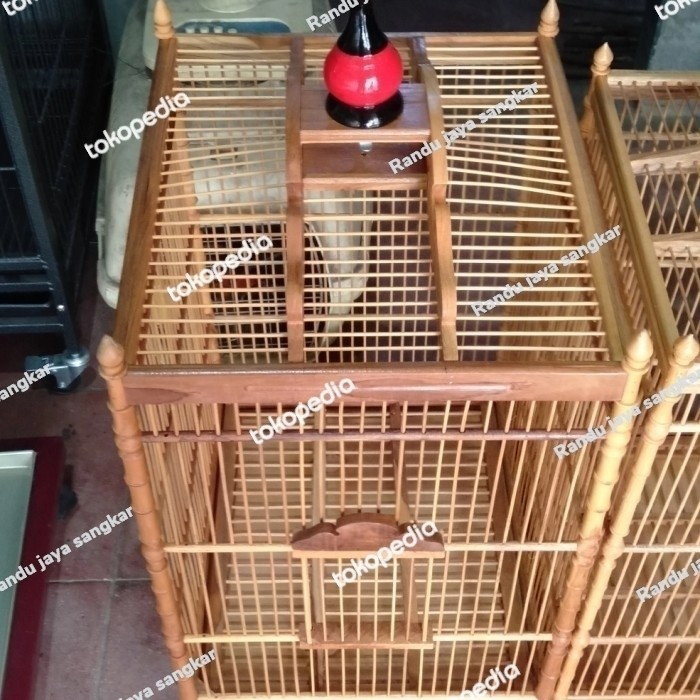 SANGKAR BURUNG CUCAK IJO, KACER, SUREN, KOTAK KAYU JATI NO2 TERLARIS