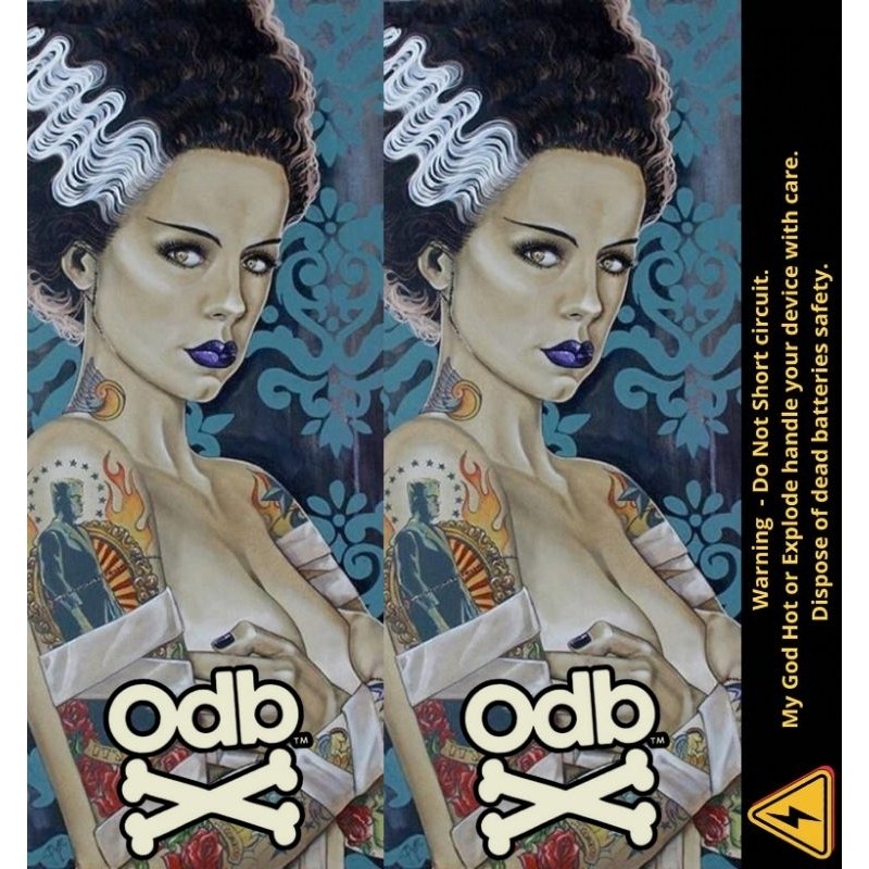 

*PromoTerjangkau* Ambitionstore Stiker Wrap Baterai 18650 Odb Retro Art V2 Series Pelindung Dan Penghias Untuk Segala Merek Garskin Premium / X Casing Case COD