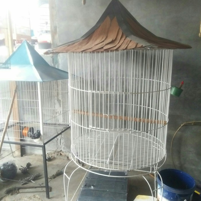 sangkar kandang besar ayam bekisar,ayam pelung,kaka tua,dll