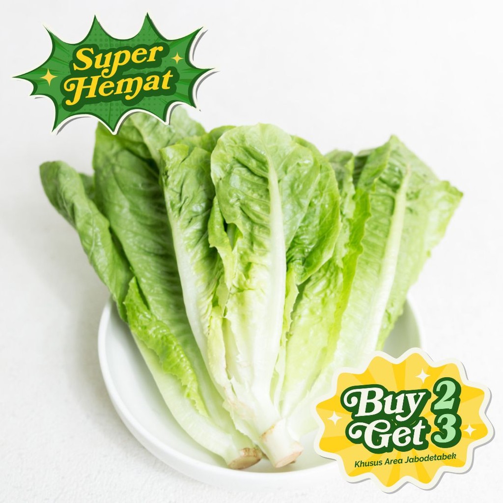 

Selada Romaine Kecil B2G3 Konvensional 250 gr