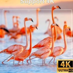 XGODY GIMBAL3  Mini Proyektor Android Bluetooth Wifi Portabel Mini LCD Support 4K Outdoor Home Theat