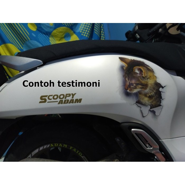 Stiker Kucing 3D Terbaru Sticker Hewan Aksesoris Dekorasi Dinding Dan Mobil Wall Cat Stickers Gambar