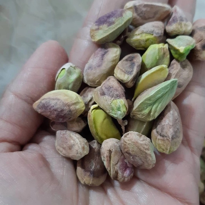 

RAW PISTACHIO KUPAS 500GR