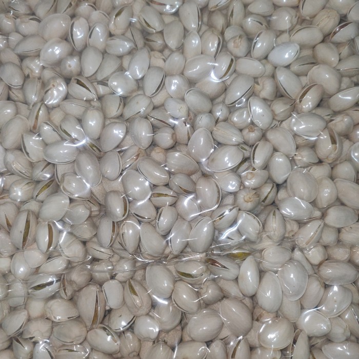 

500GR PISTACHIO - KACANG FUSTUK - KACANG KETAWA