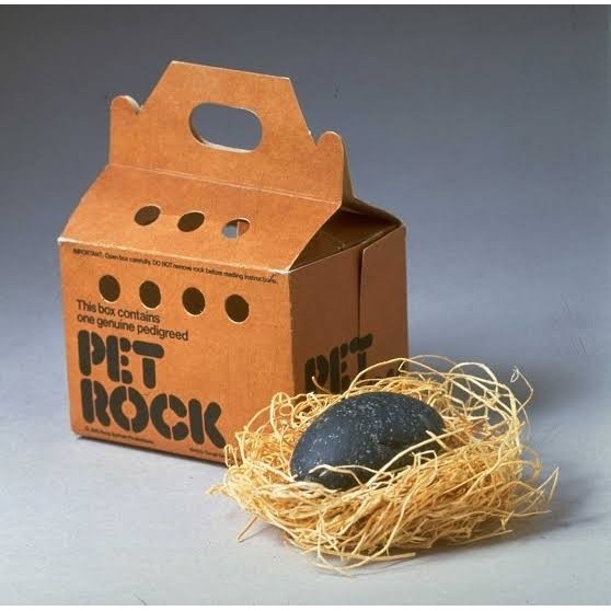 TERBARU Pet Rock Special cyntiastor01