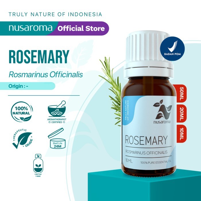 

TERJAMIN Rosemary Essential Oil 10 ml 100 % Pure & Natural Essential Oil