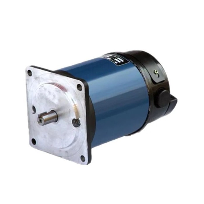 110 ZYT 700W HIGH TORQUE DC MOTOR BRUSHED DC MOTOR 24V 48V 110V 220V
