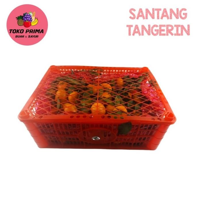 

SALE! JERUK SANTANG TANGERIN PER KERANJANG