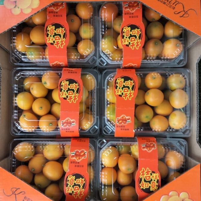 

SALE! JERUK KIMKIT YELLOW FRESH PER PACK