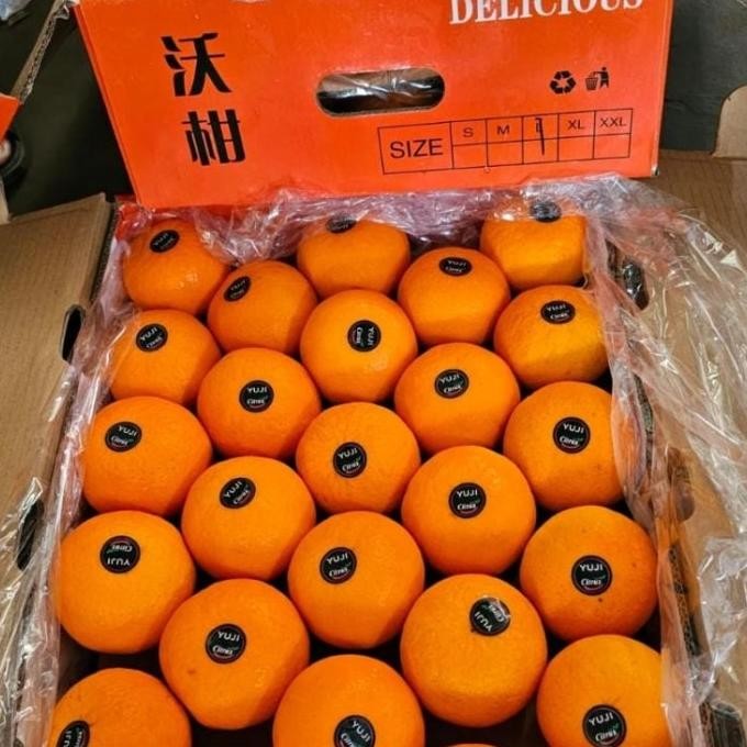 

SALE! JERUK WOGAN/ WOKAM MANIS FRESH CITRUS FRESH PER DUS 9KG-+